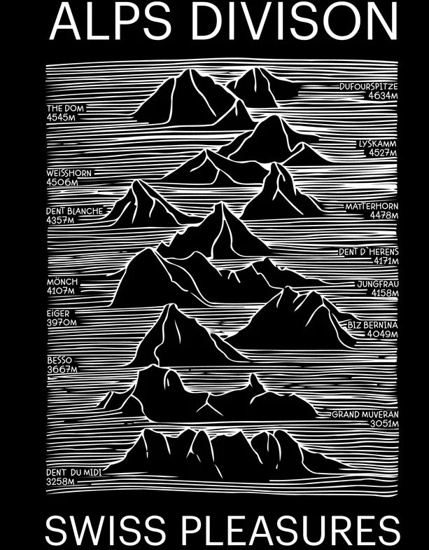 T-Shirt Alps Division Schwarz Switcher 2